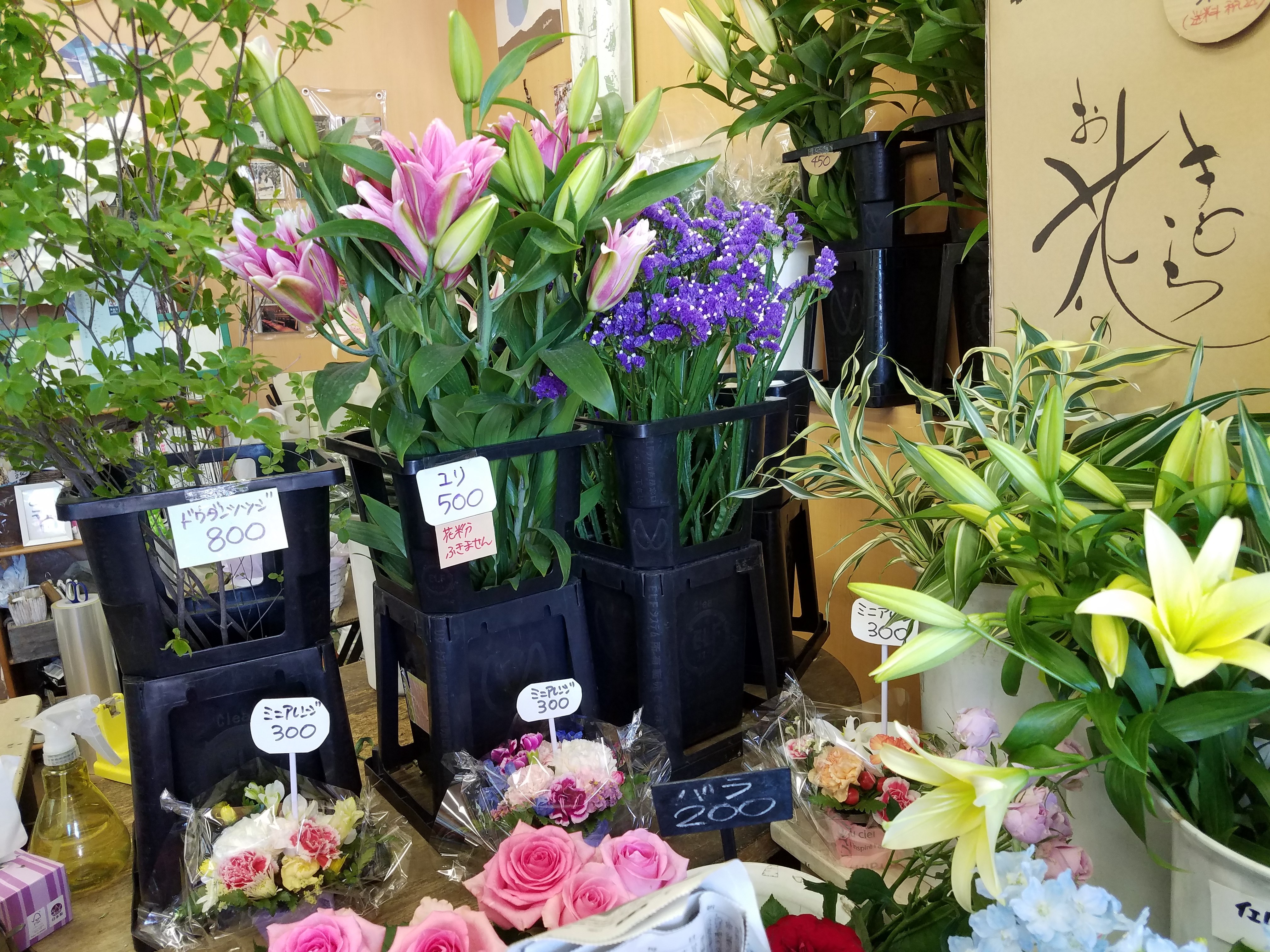 アップロードファイル 844-1.jpg