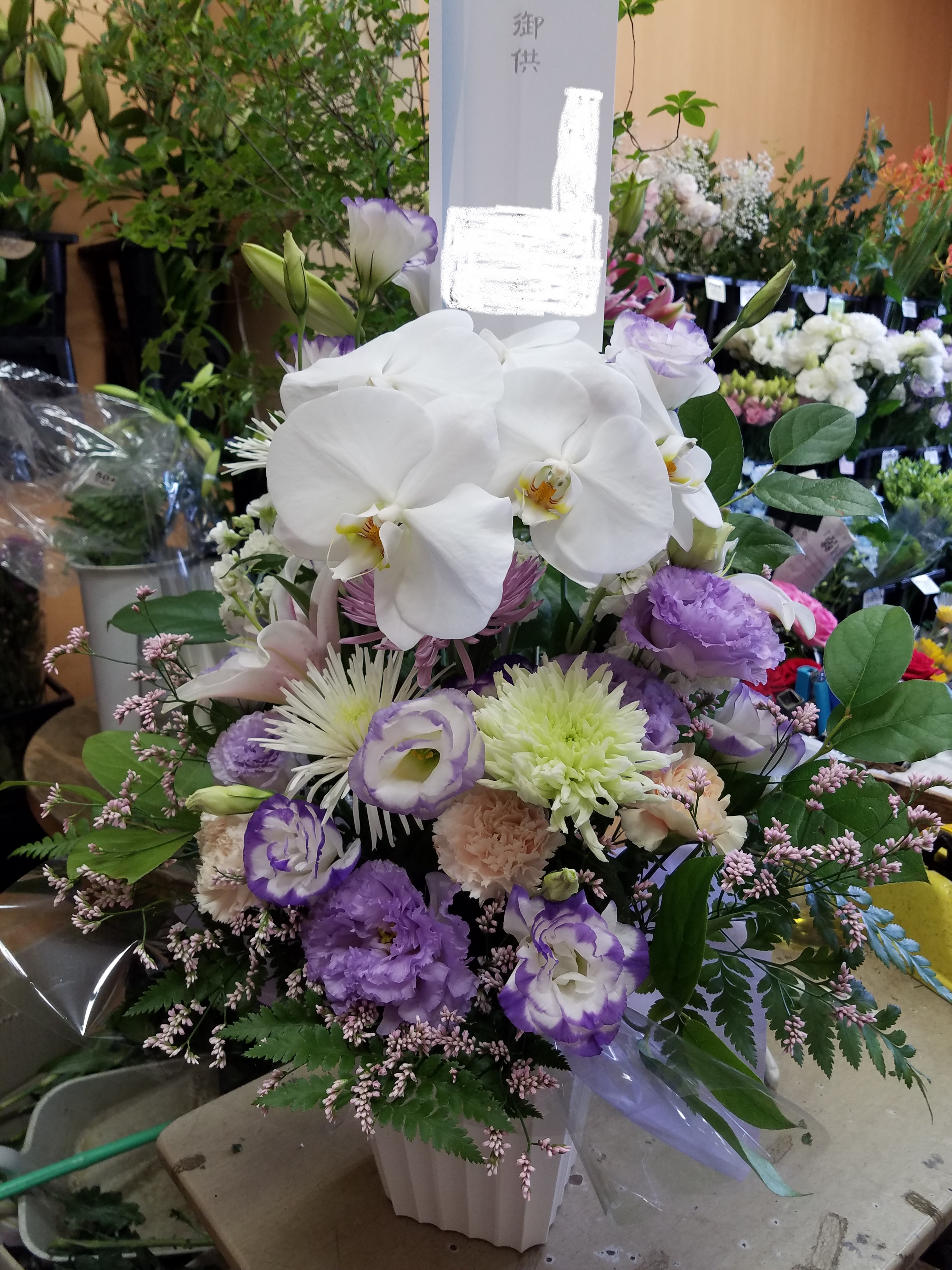 アップロードファイル 845-2.jpg