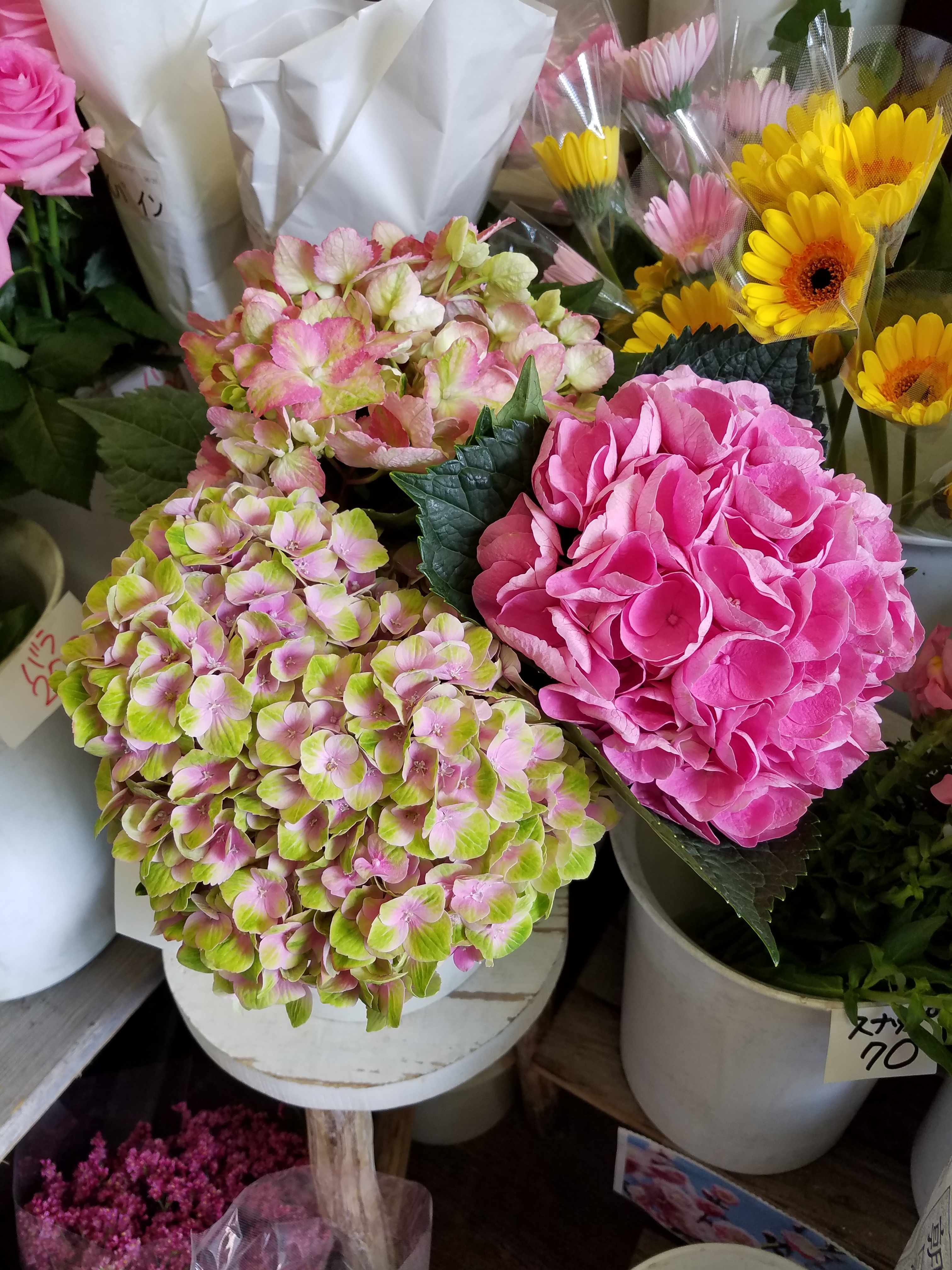 アップロードファイル 846-1.jpg