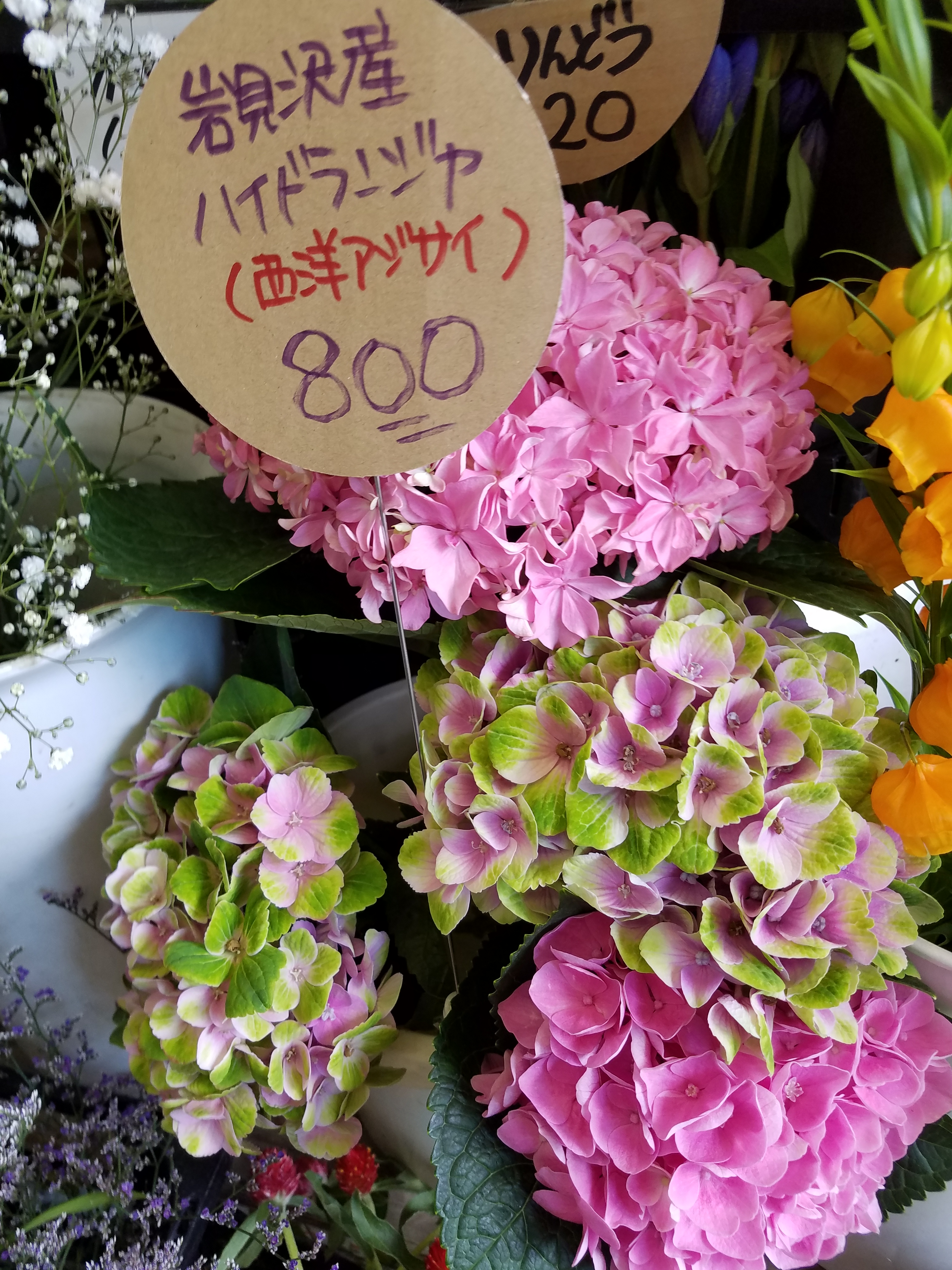 アップロードファイル 847-2.jpg