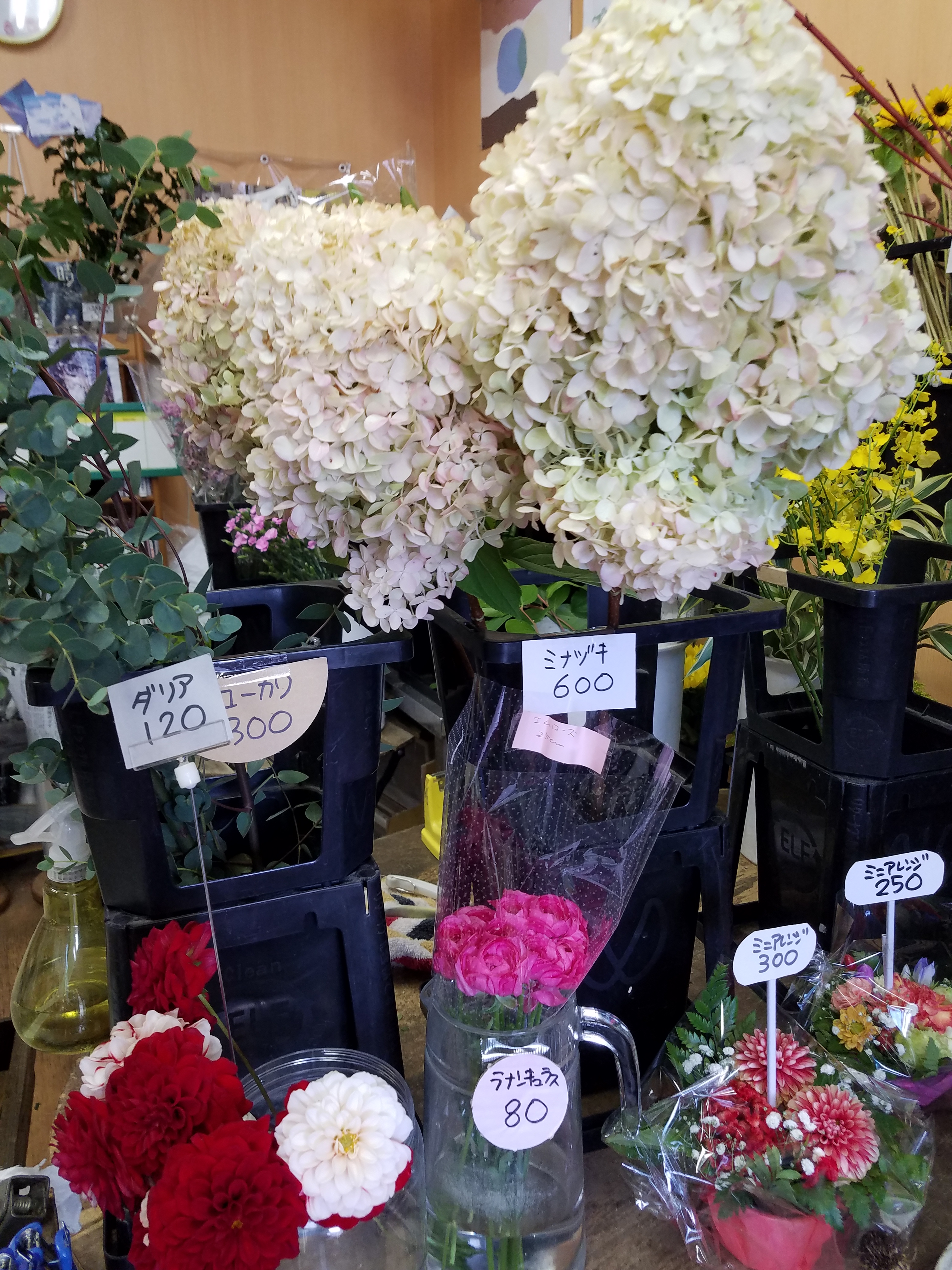 アップロードファイル 856-1.jpg