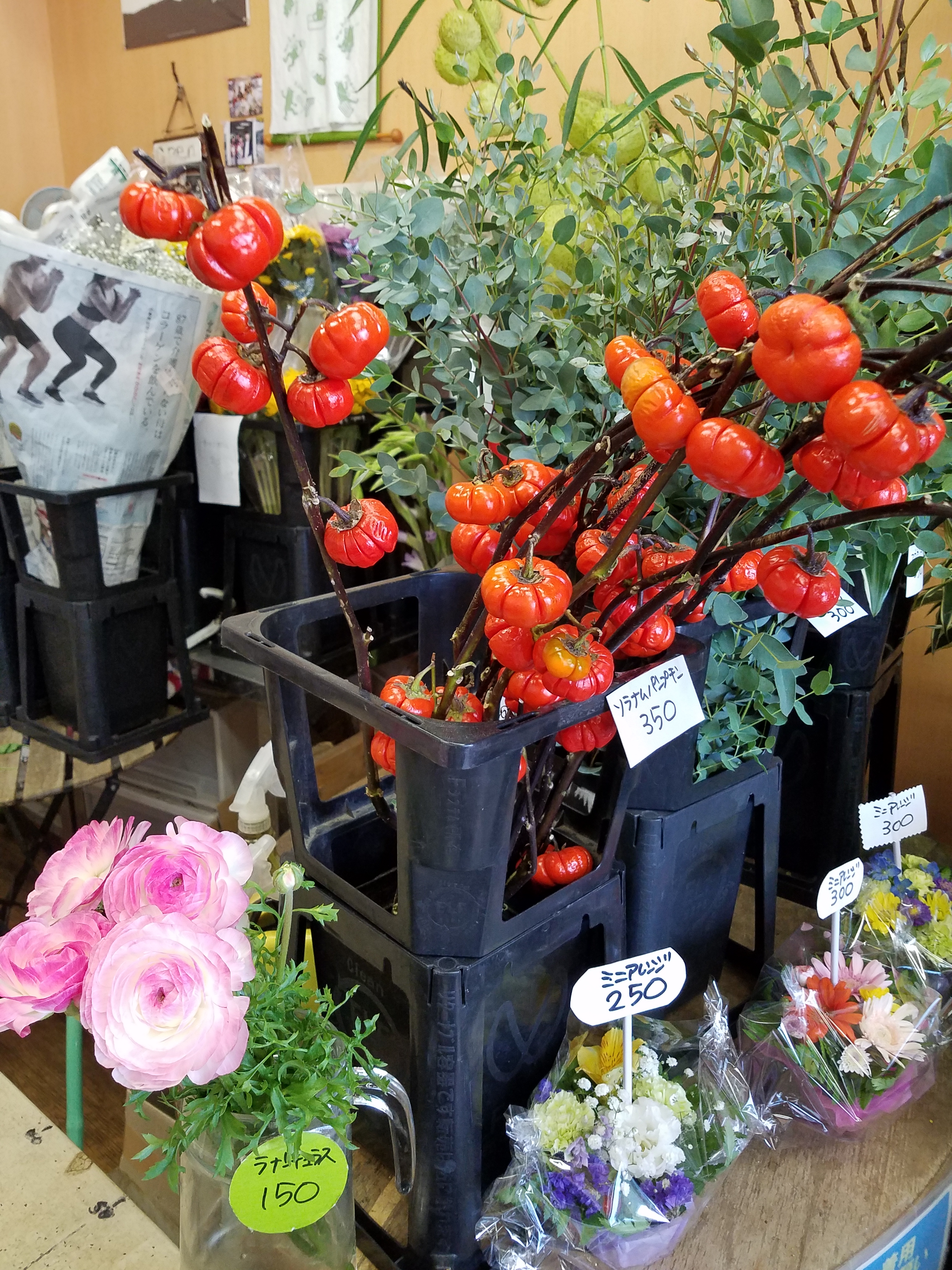 アップロードファイル 857-1.jpg