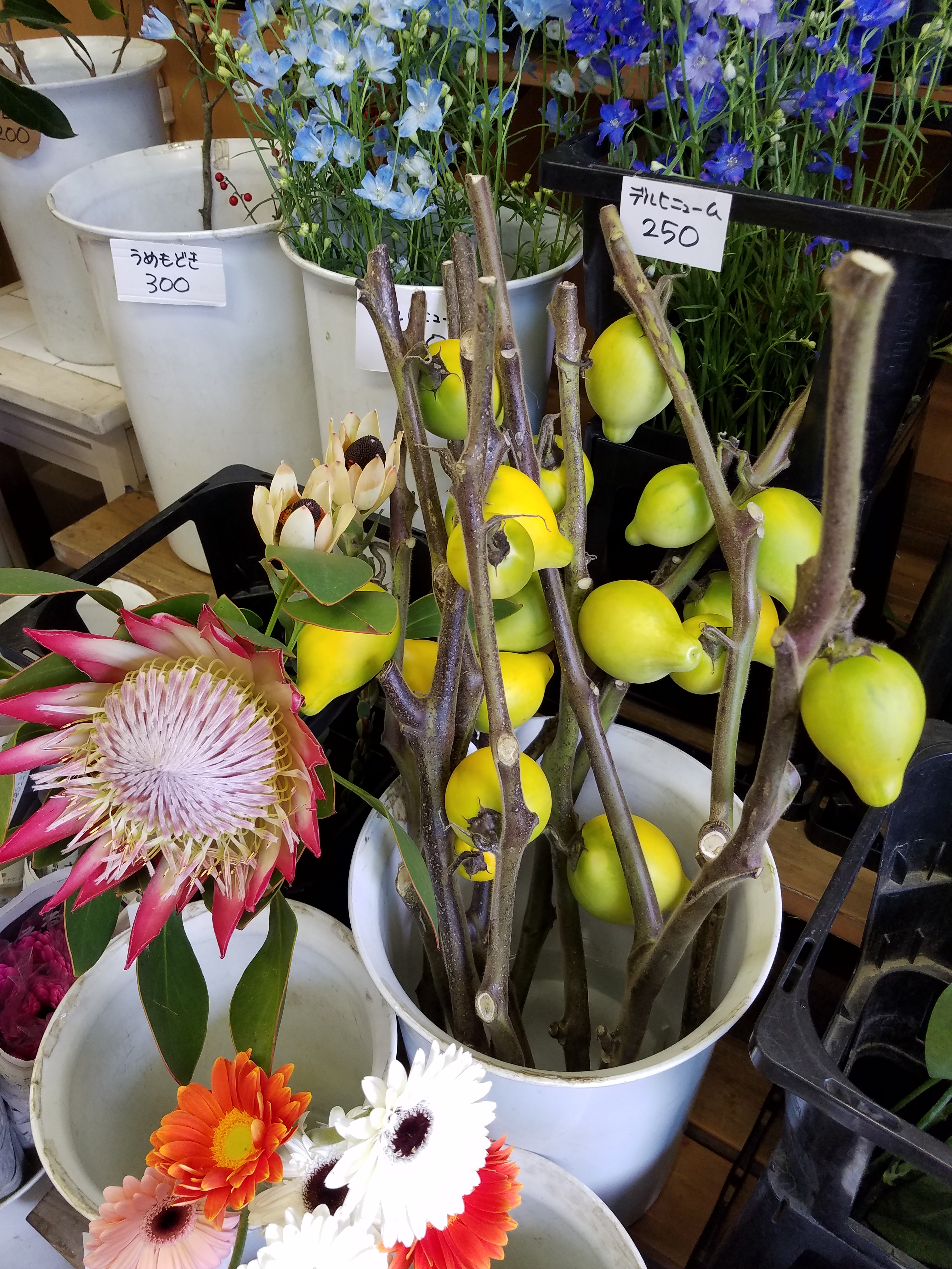 アップロードファイル 858-1.jpg