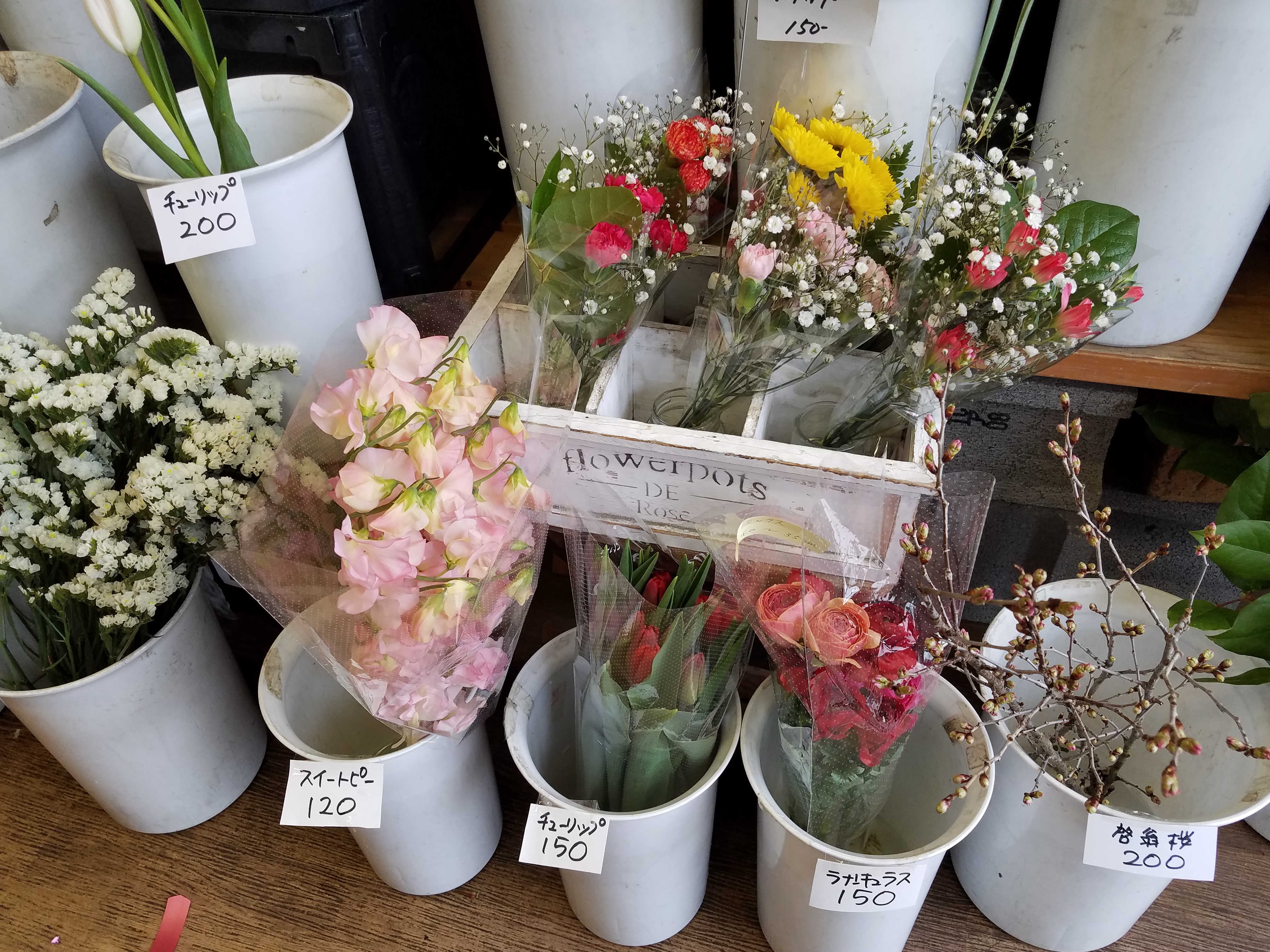 アップロードファイル 864-1.jpg