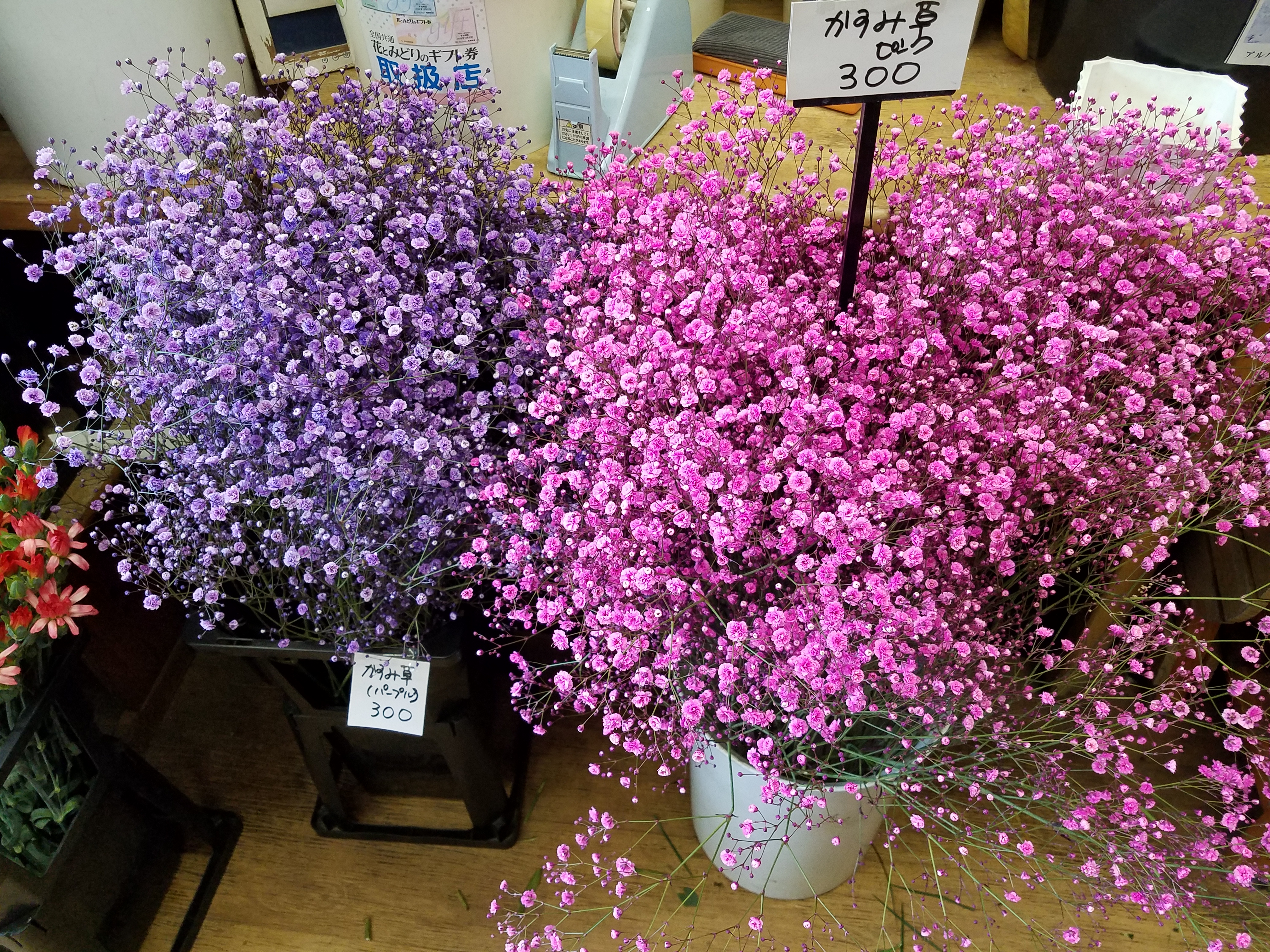 アップロードファイル 865-1.jpg