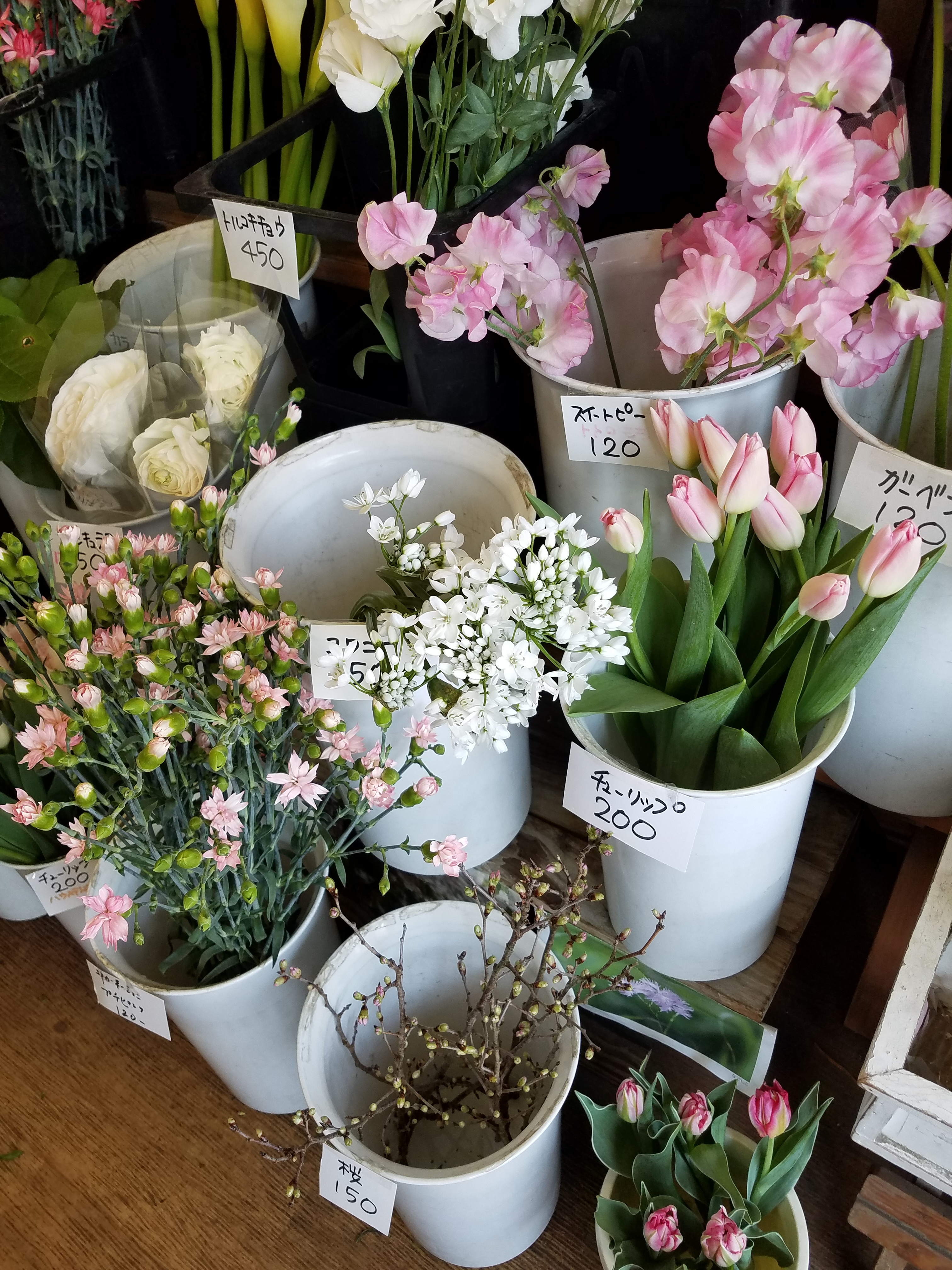 アップロードファイル 869-1.jpg