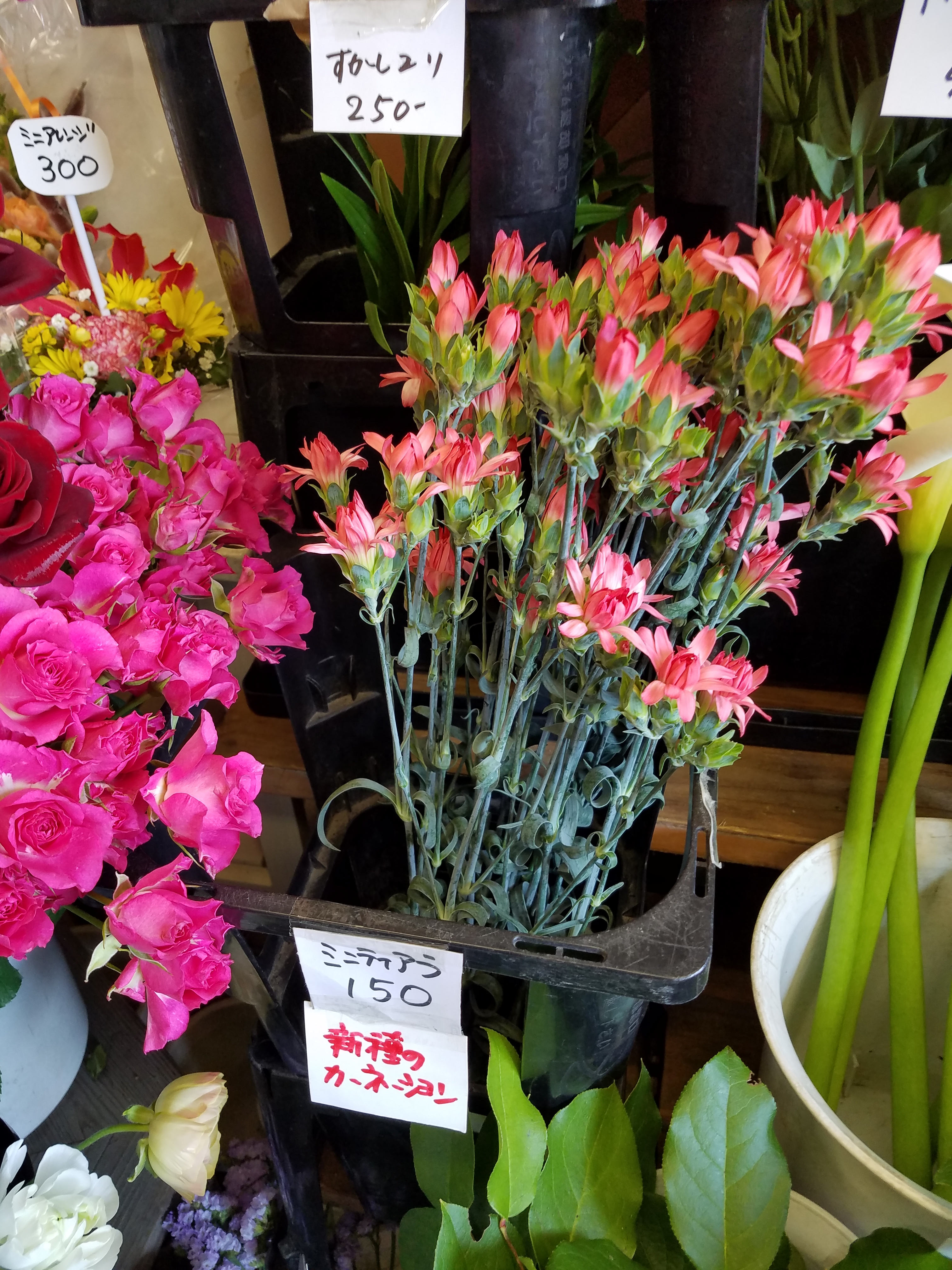 アップロードファイル 869-2.jpg