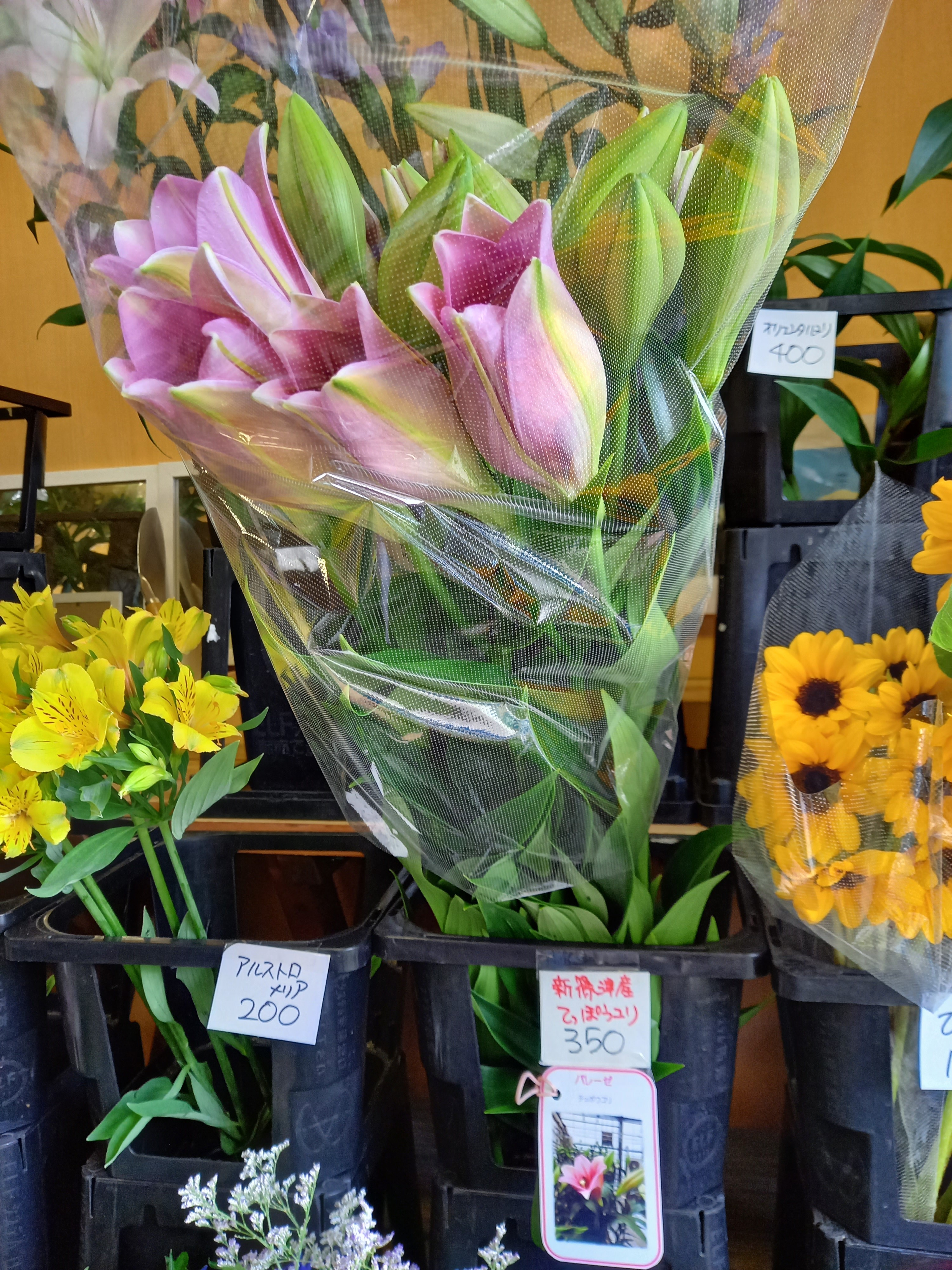 アップロードファイル 886-1.jpg