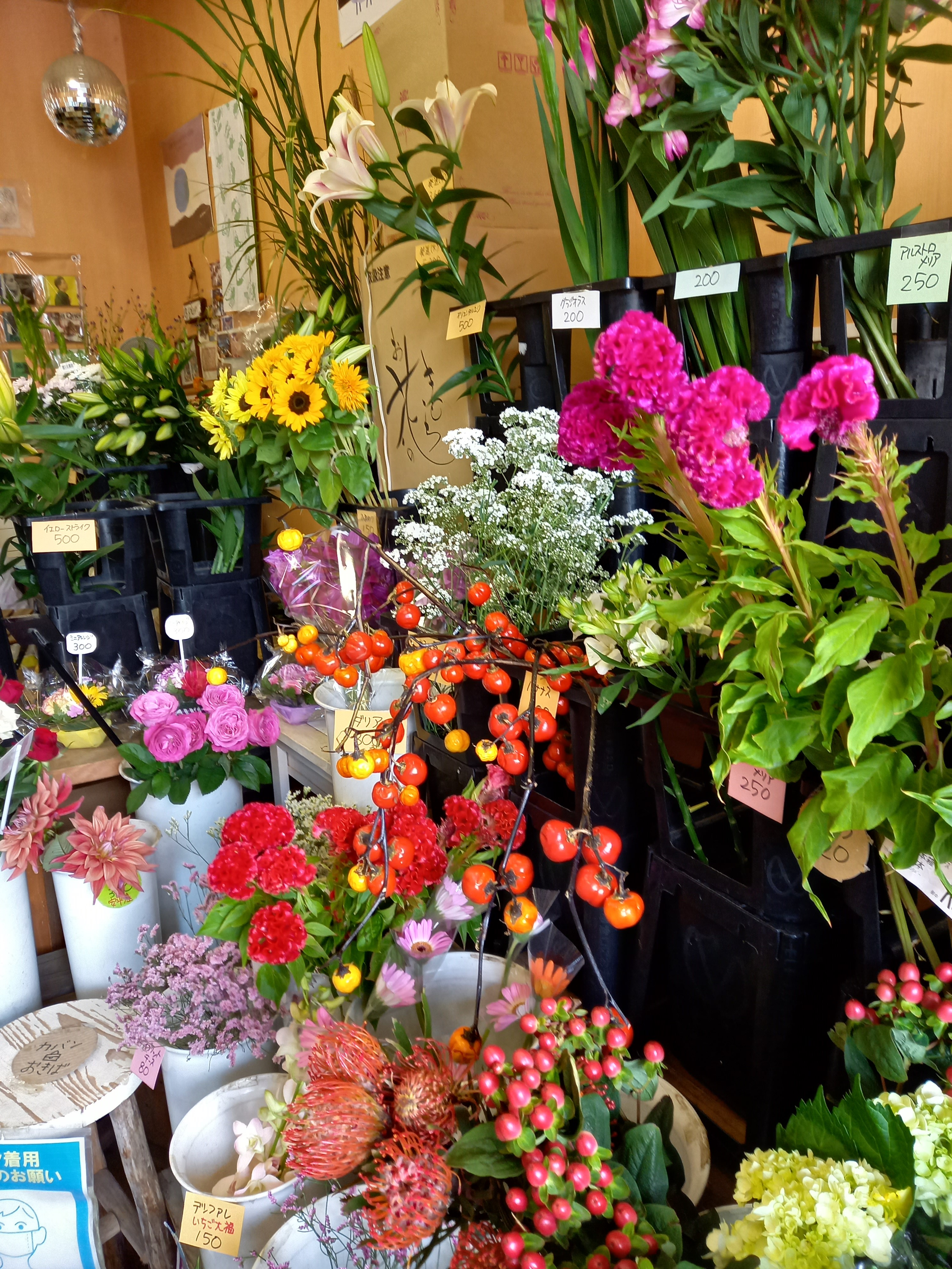 アップロードファイル 890-1.jpg