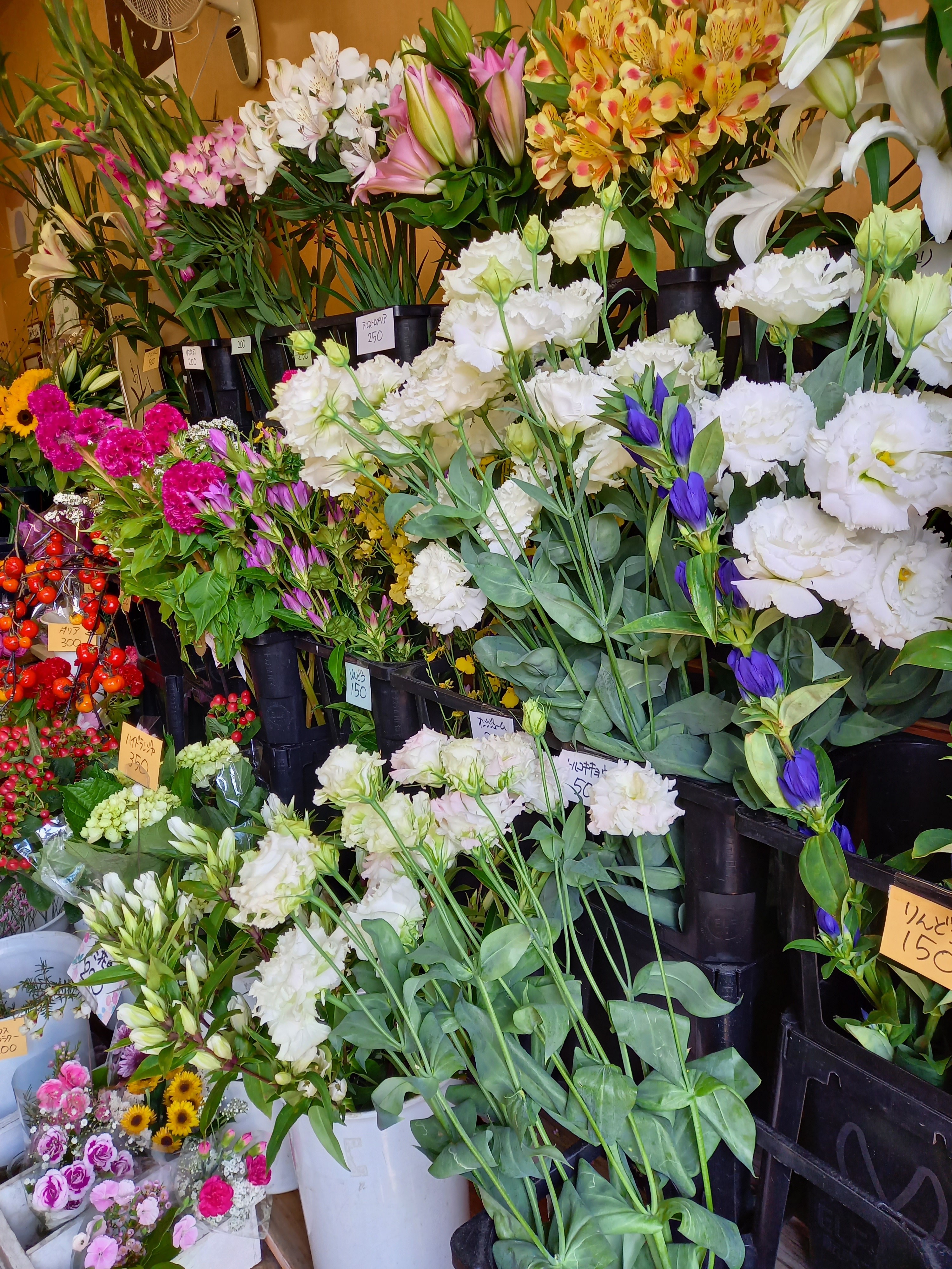 アップロードファイル 890-2.jpg