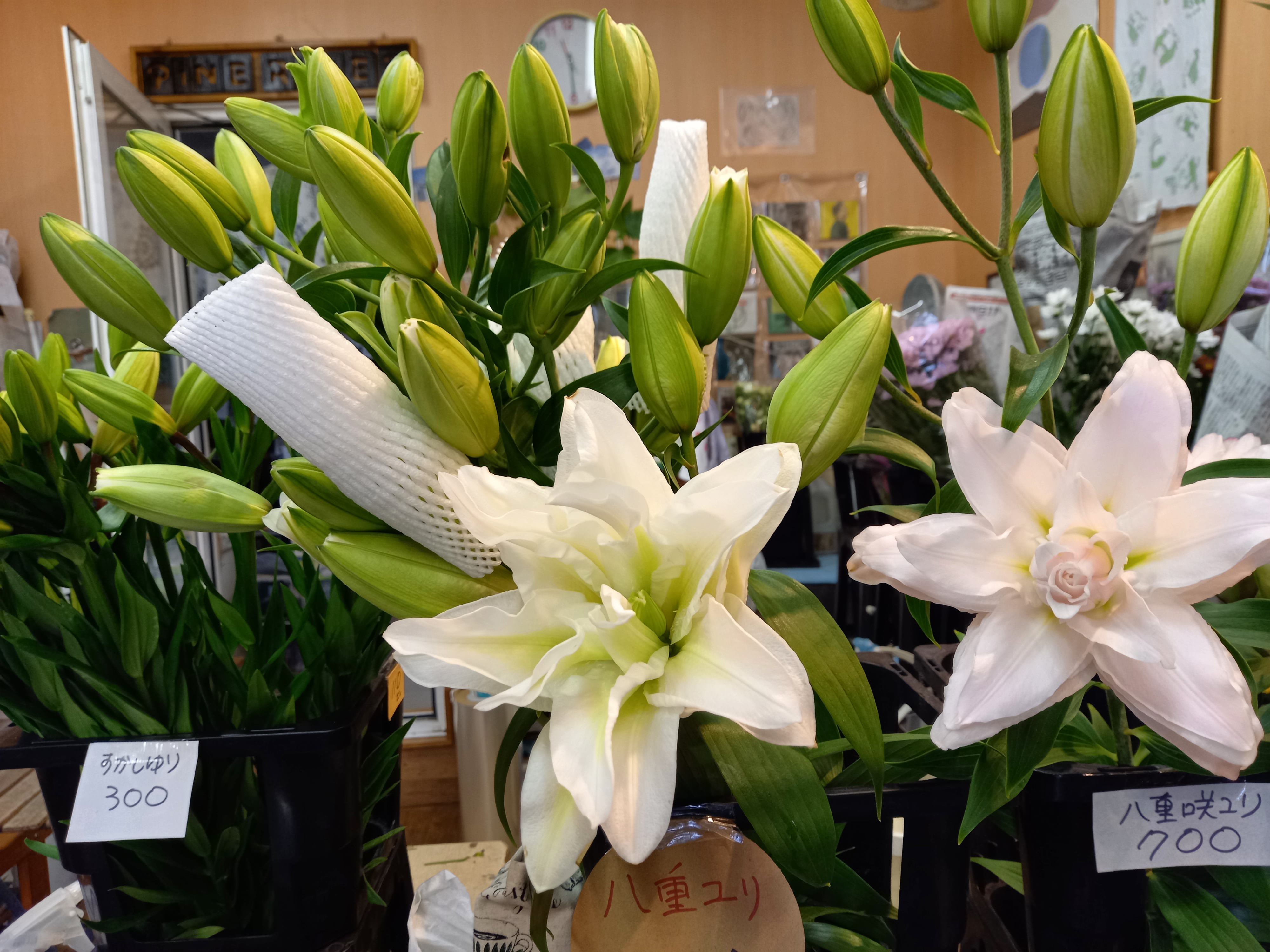 アップロードファイル 893-1.jpg