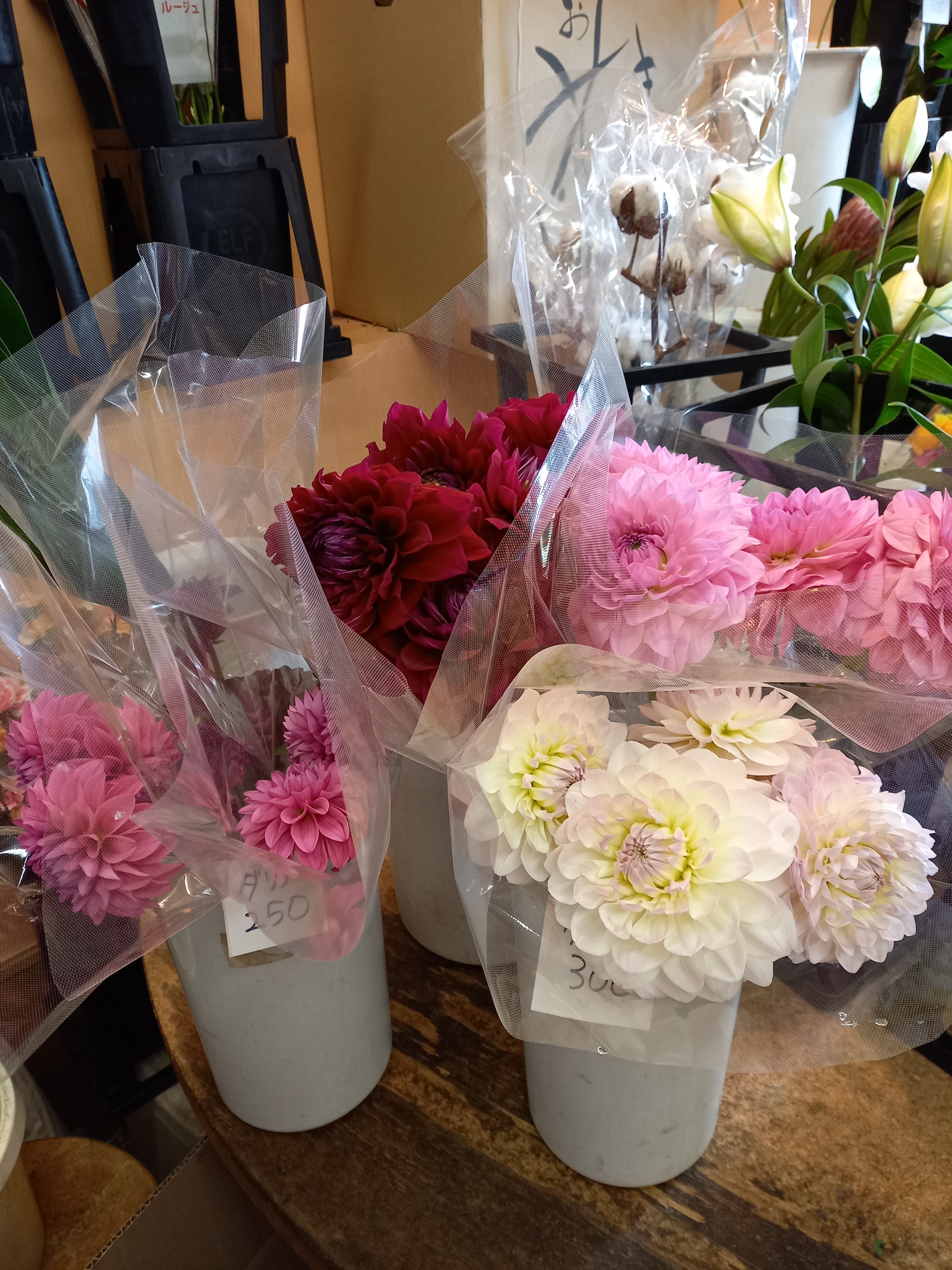 アップロードファイル 894-1.jpg