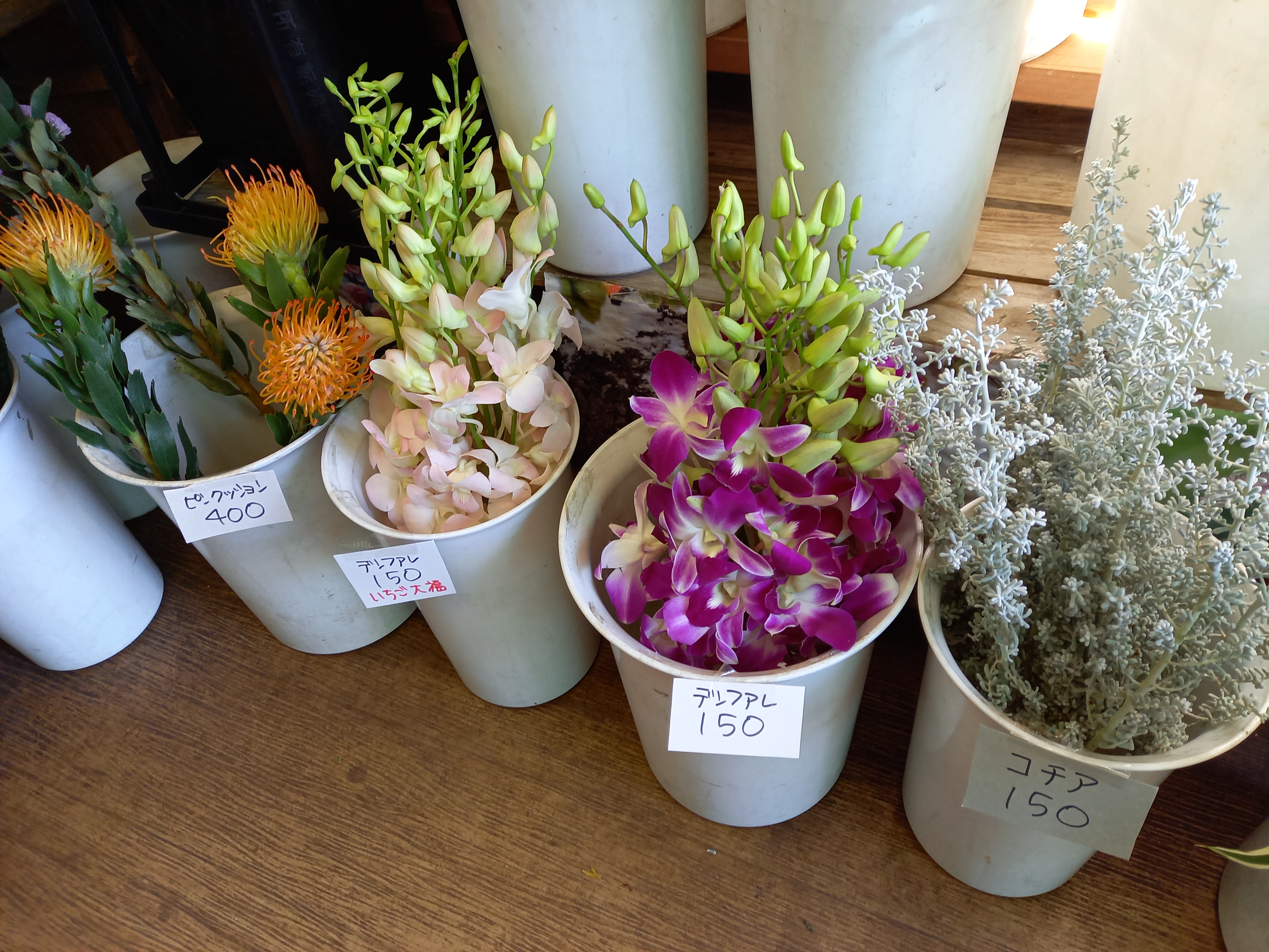 アップロードファイル 895-1.jpg