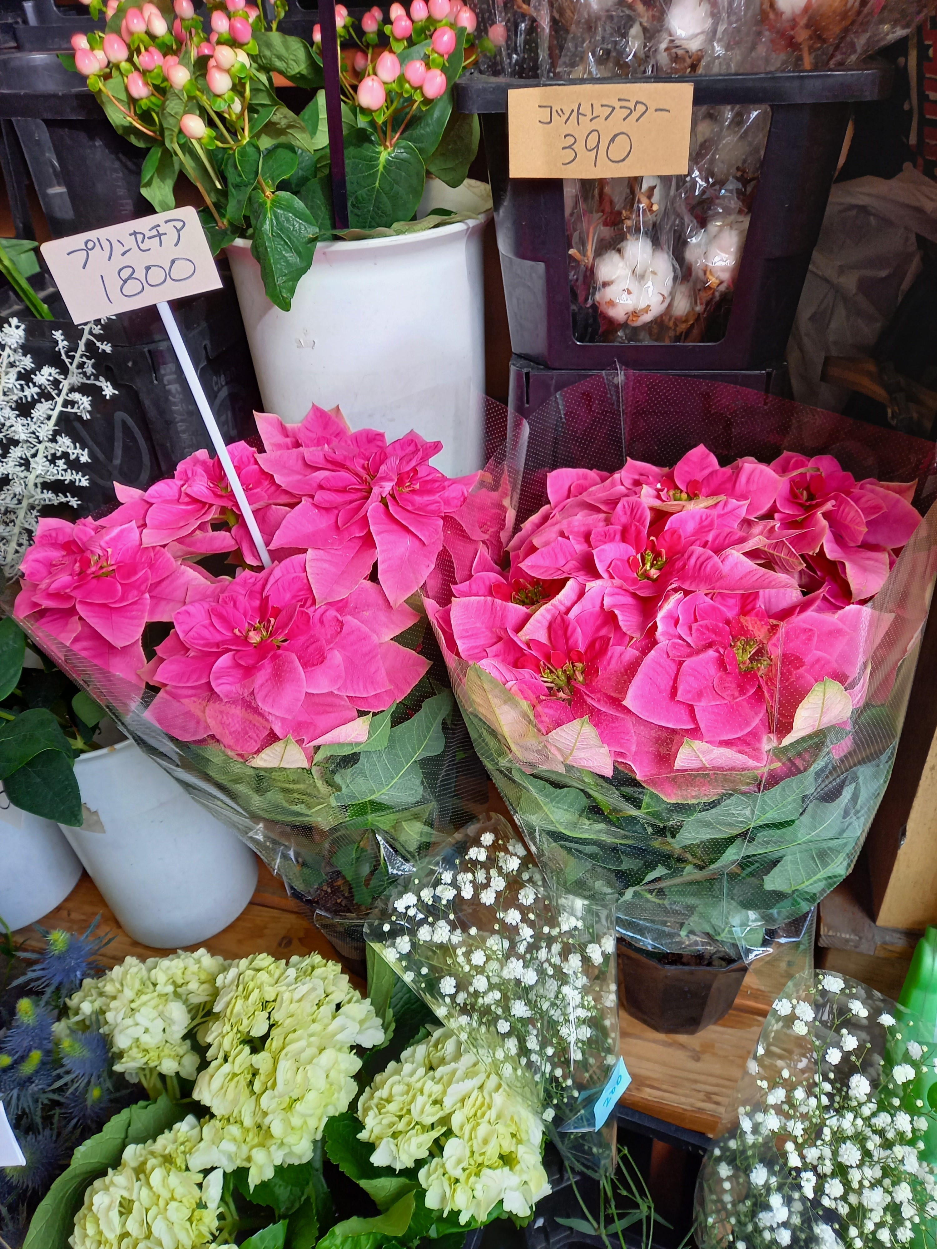 アップロードファイル 897-1.jpg