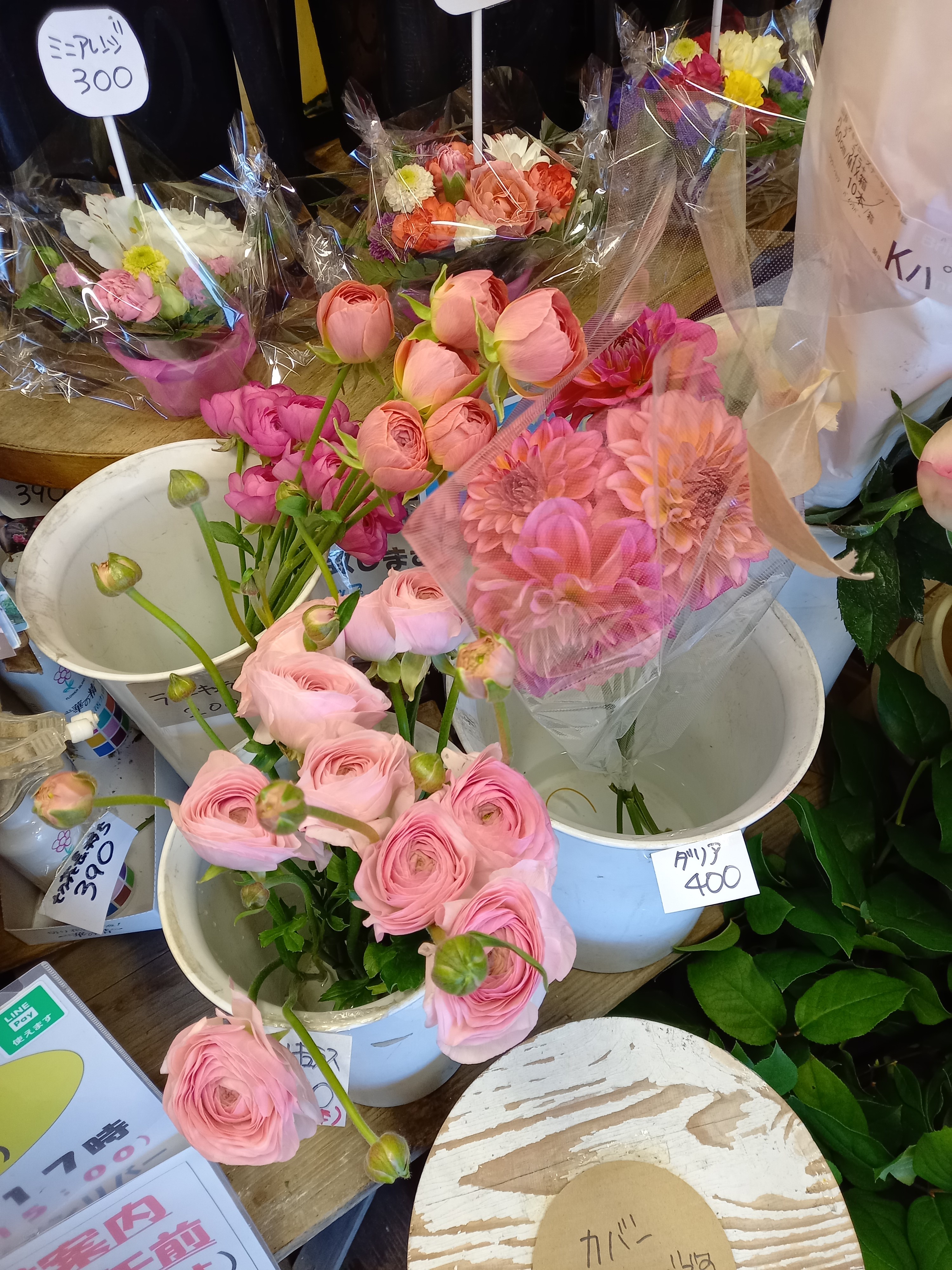 アップロードファイル 899-1.jpg