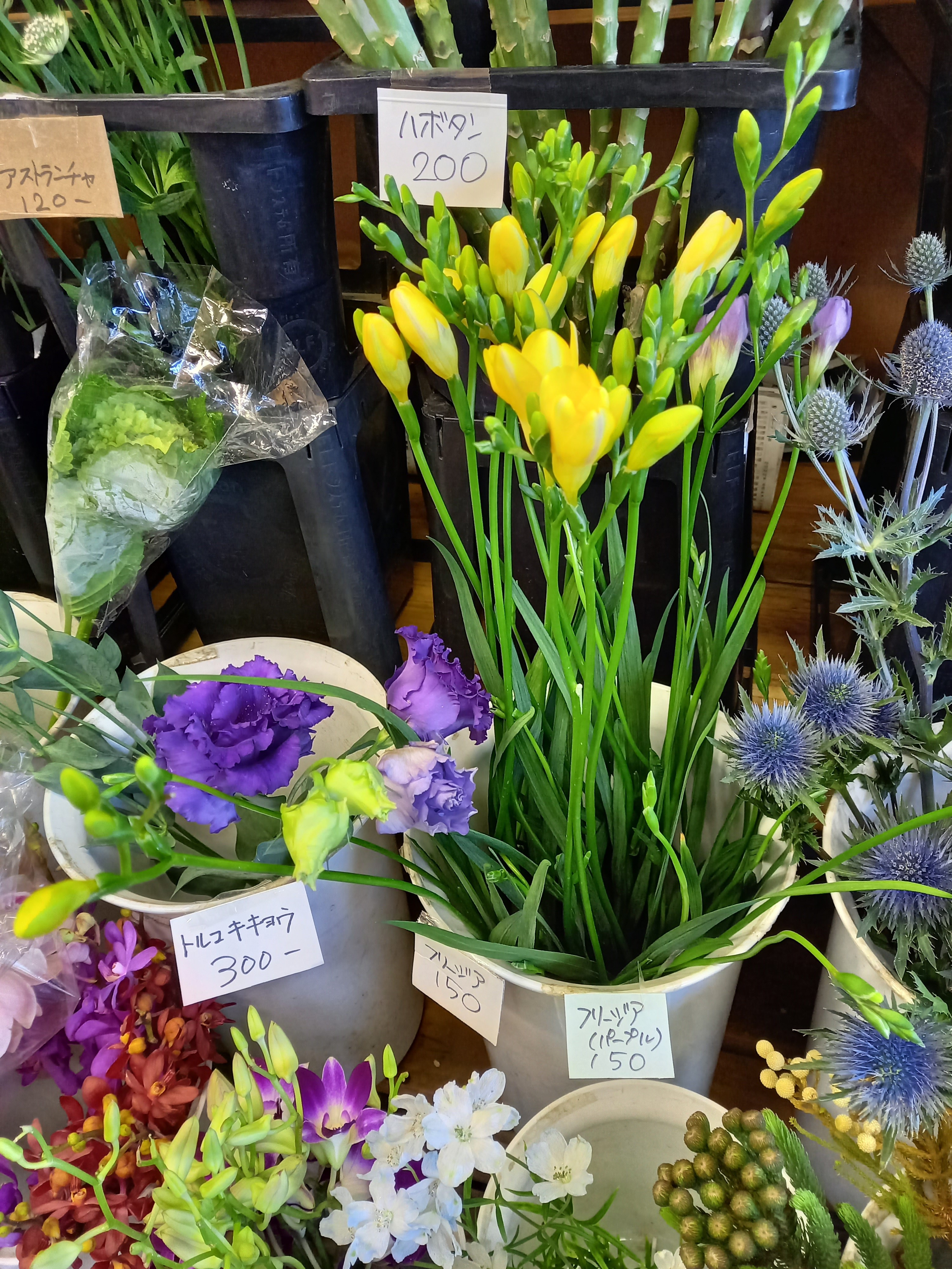 アップロードファイル 899-2.jpg