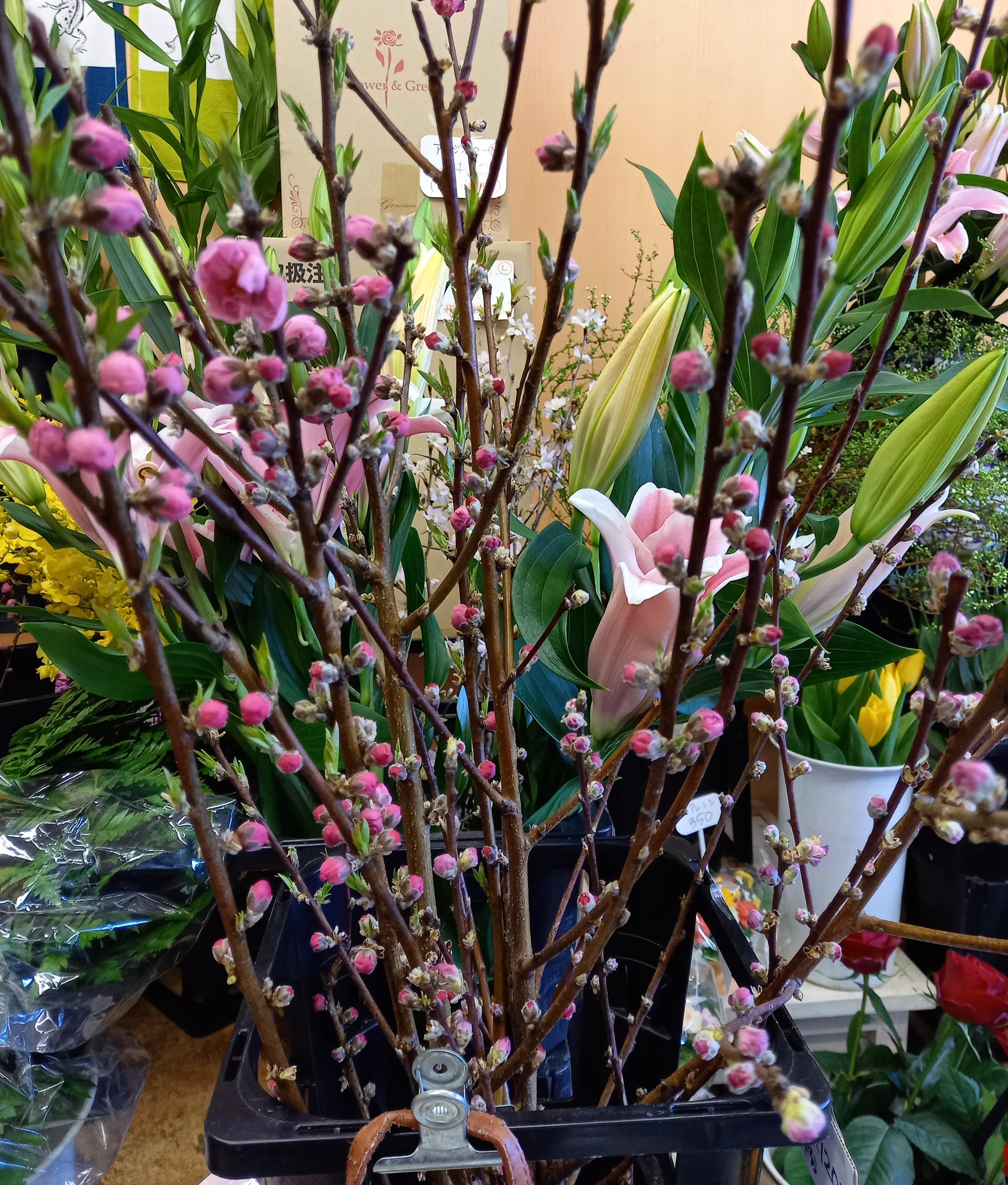 アップロードファイル 944-1.jpg