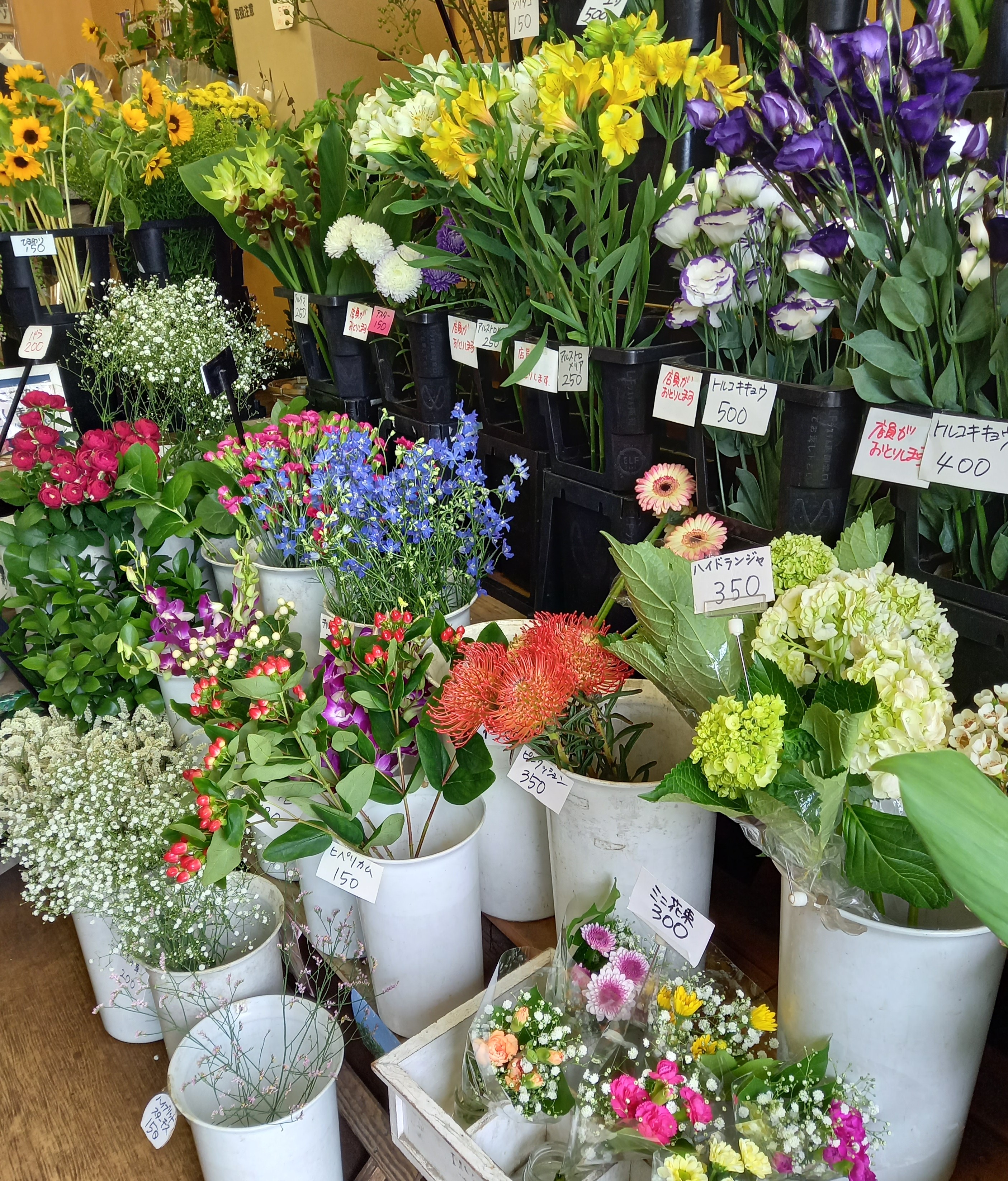 アップロードファイル 992-1.jpg