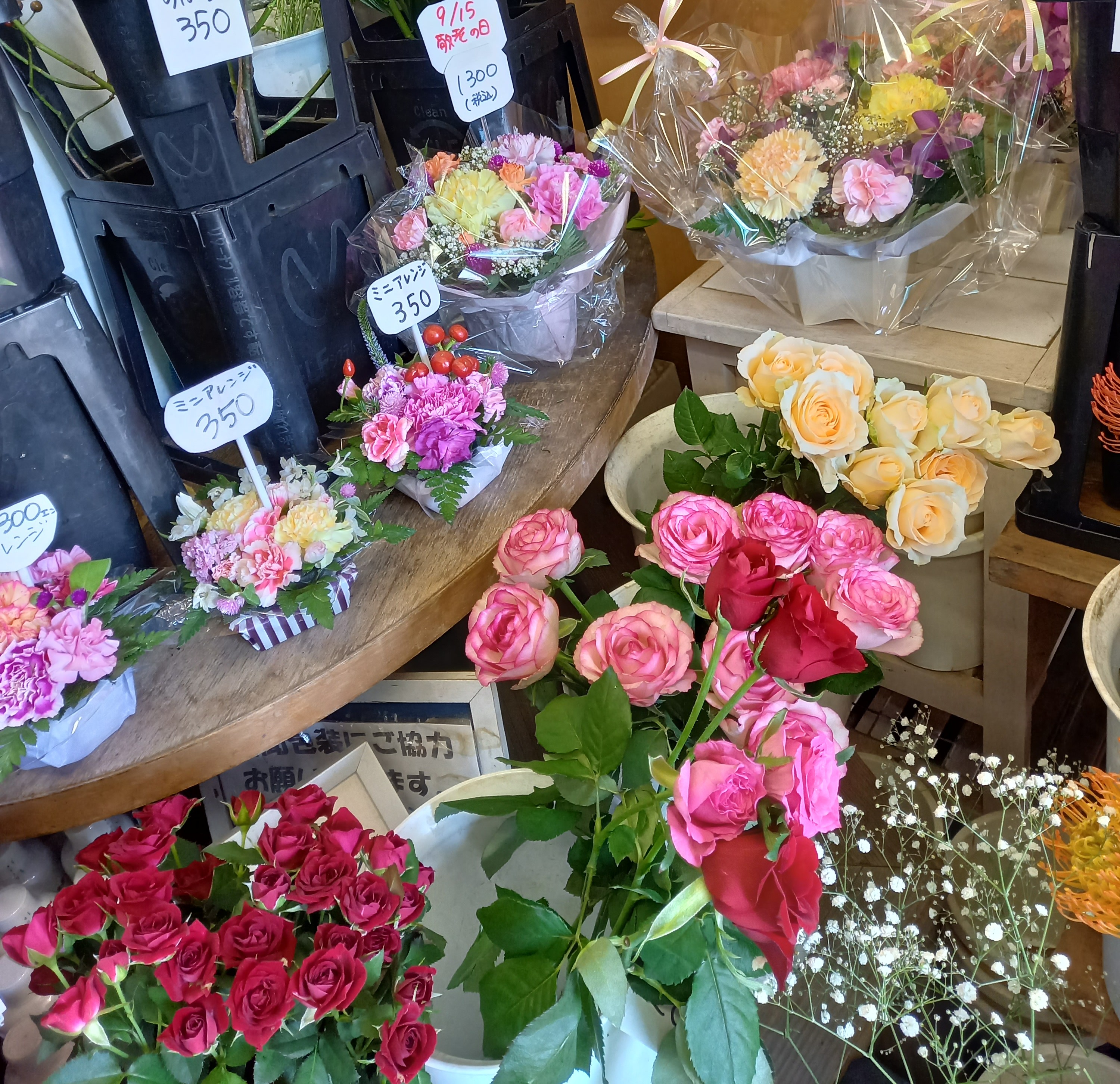 アップロードファイル 994-1.jpg