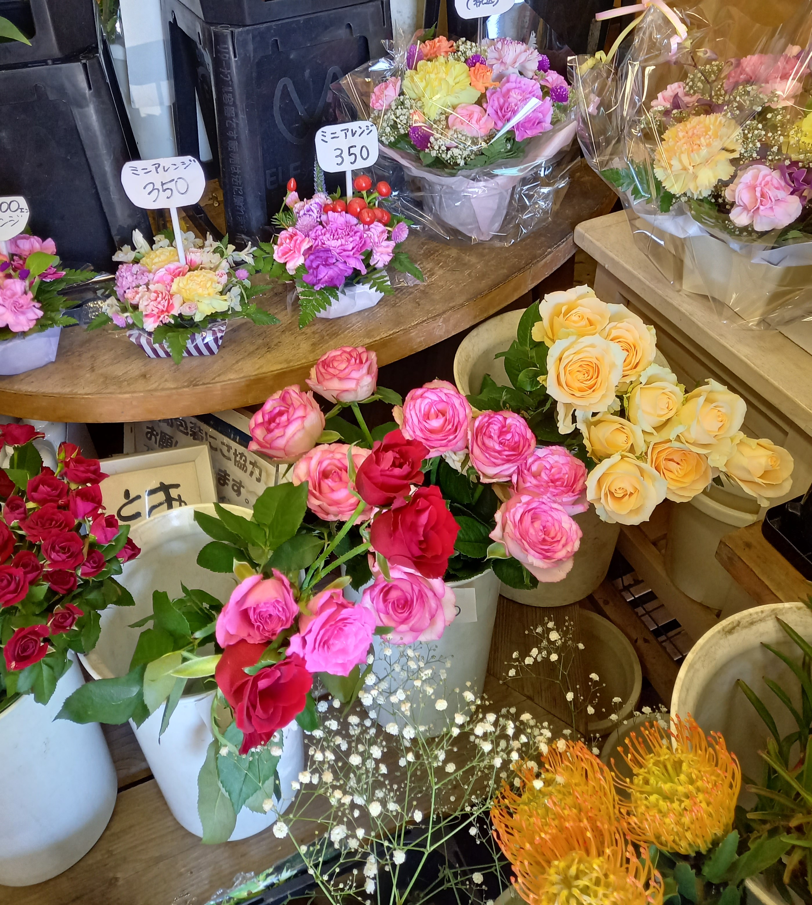 アップロードファイル 994-2.jpg