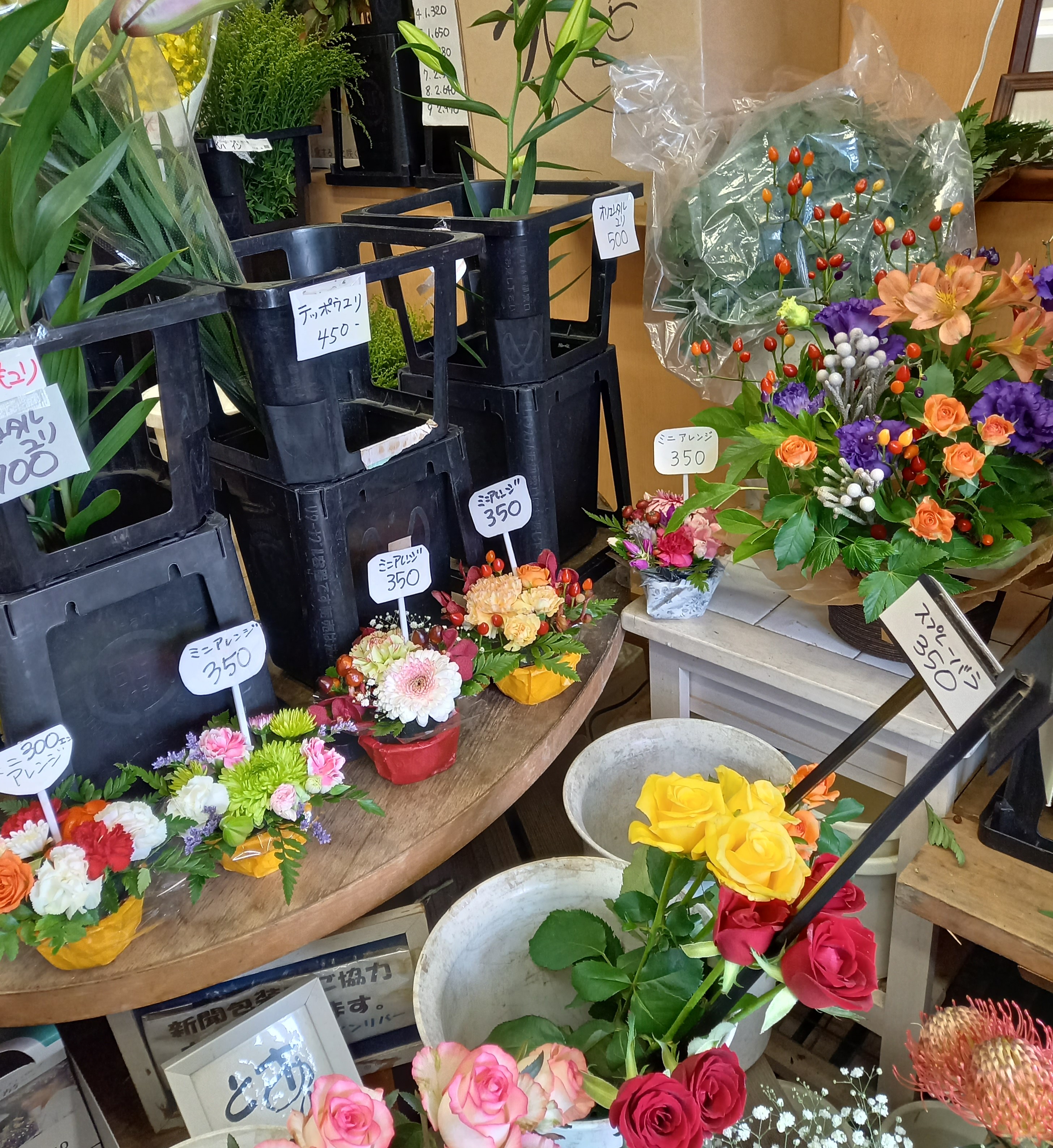 アップロードファイル 996-1.jpg